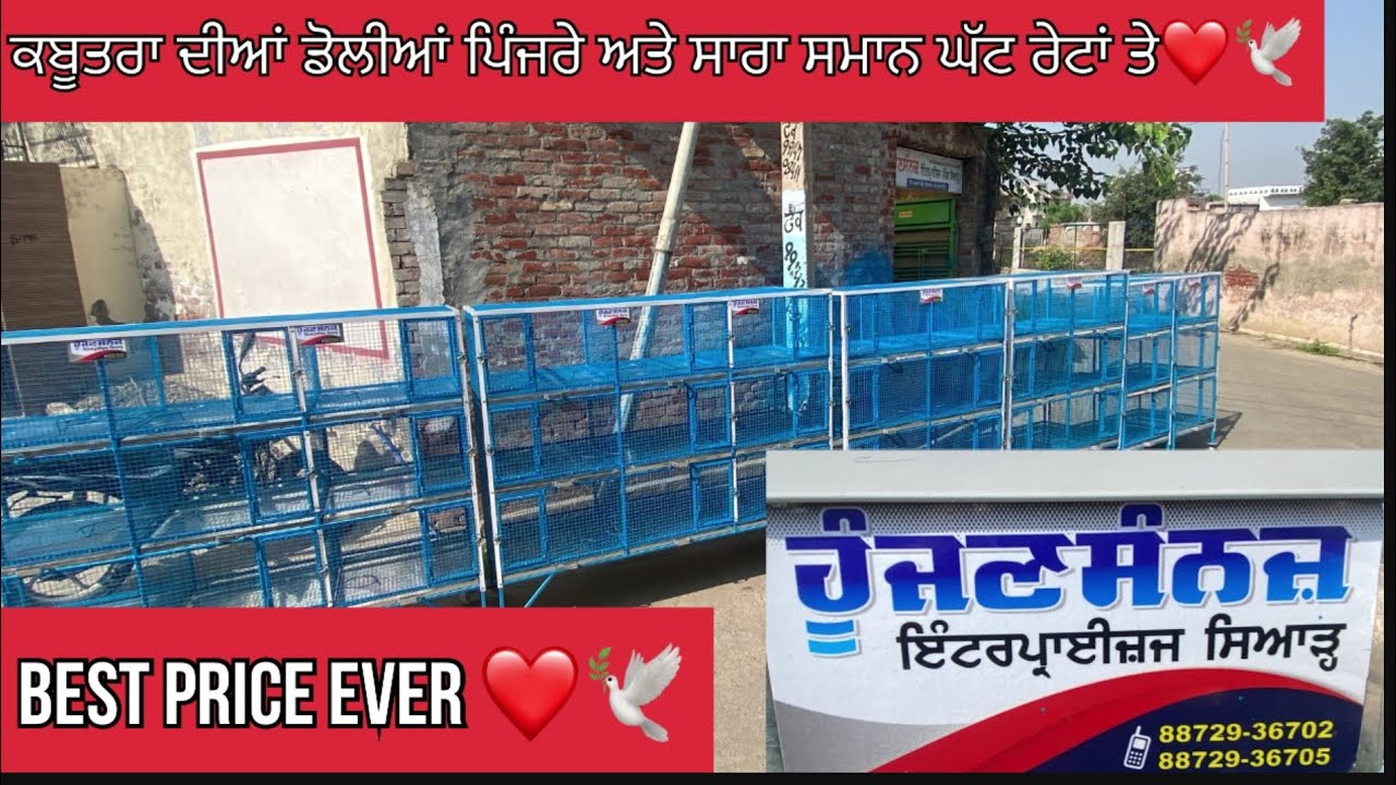 ਕਬੂਤਰਾਂ ਦਾ ਸਾਰਾ ਸਮਾਨ ਘੱਟ ਰੇਟ ਤੇ 🕊️✌️ ॥ pigeon accessories chep price ❤️🕊️