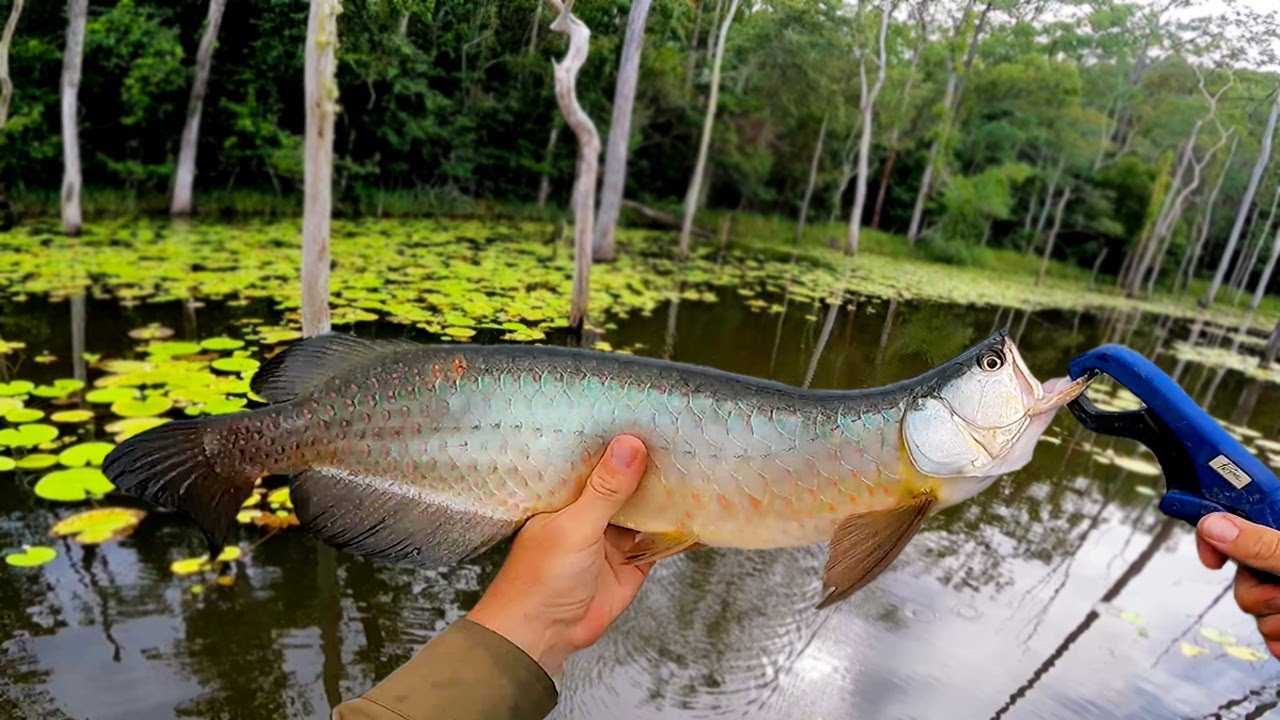 My New Favourite Dam? Saratoga and Bass fishing