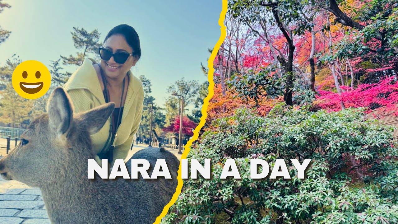 Kyoto to Nara in One Day 🇯🇵 | Deer Park + Todai-ji Travel Vlog