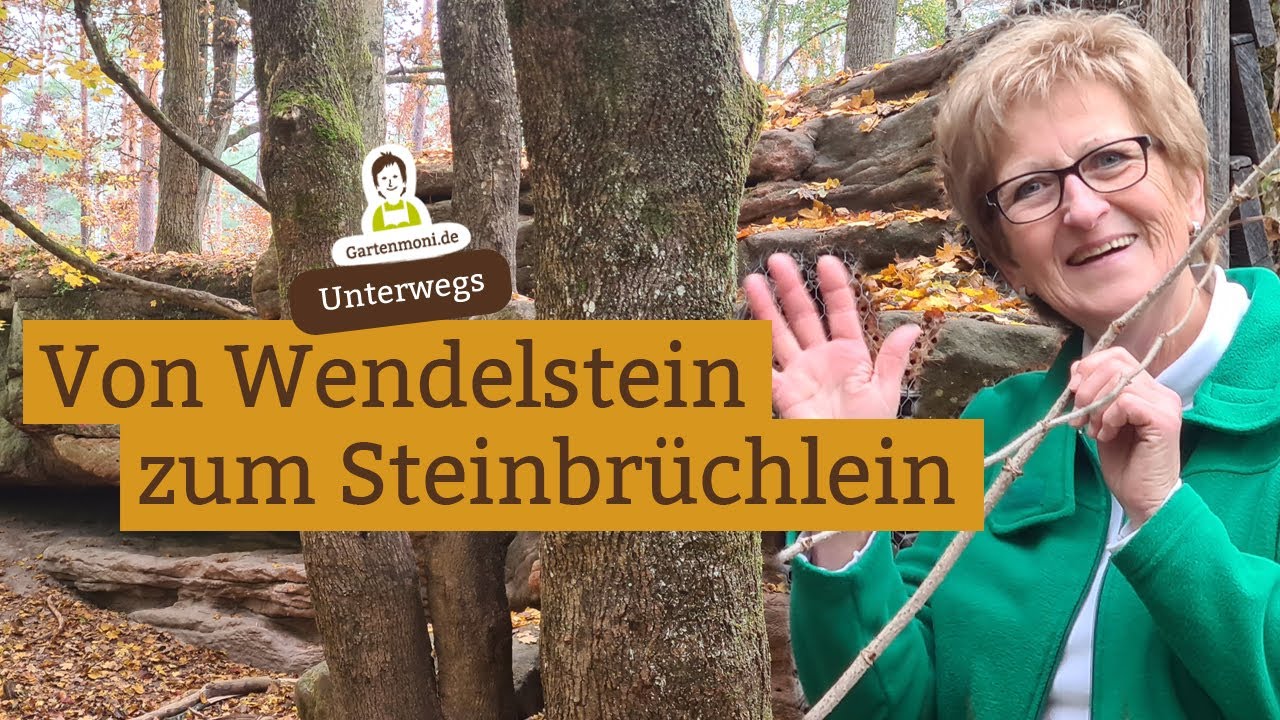 Rundwanderung im Herbstwald von Wendelstein zum Nürnberger Steinbrüchlein | Gartenmoni unterwegs