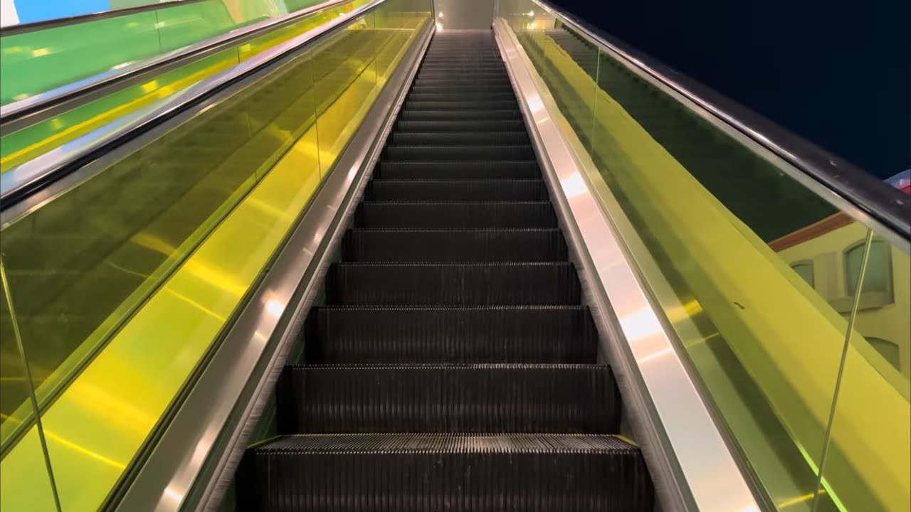 BRAND NEW Otis NCE Escalators 3 at BLVD Las Vegas, NV