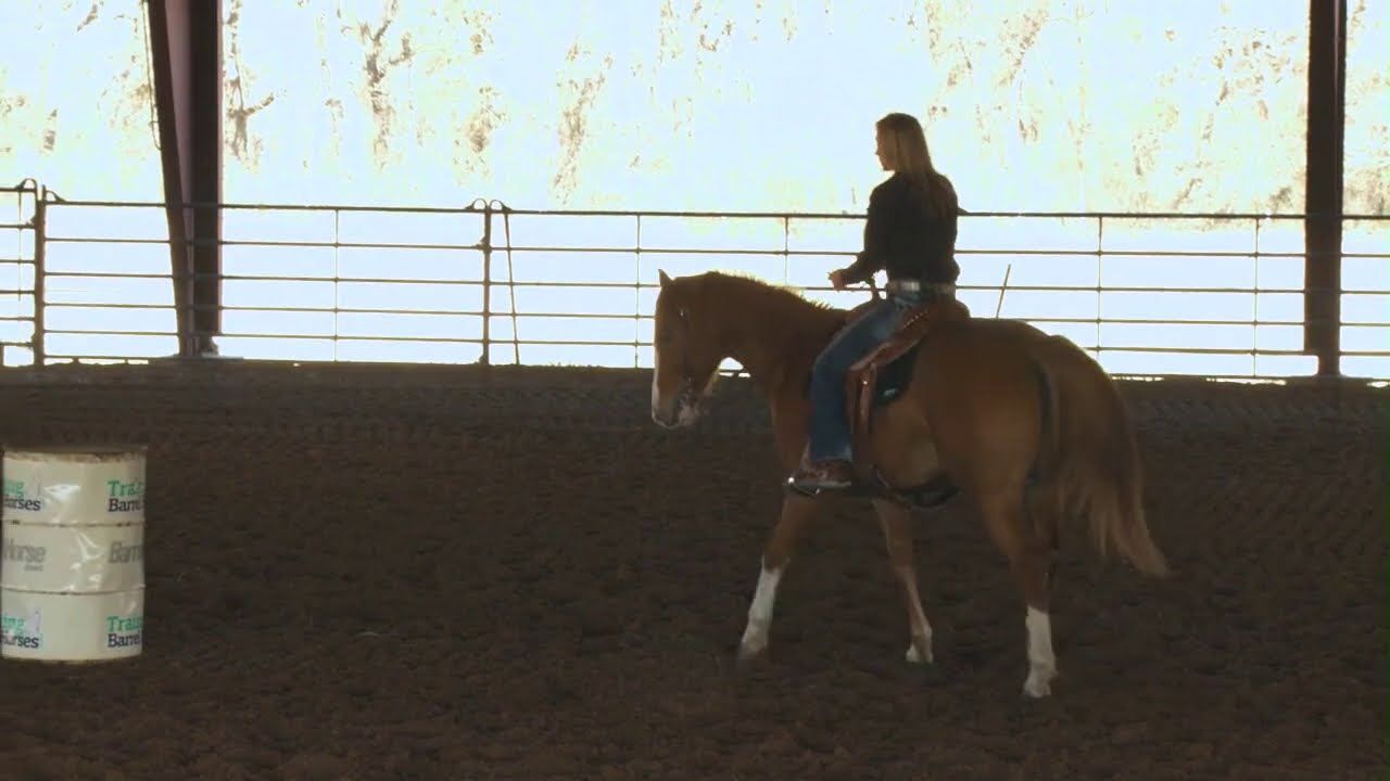 Charmayne James - Novice Rider Mistakes