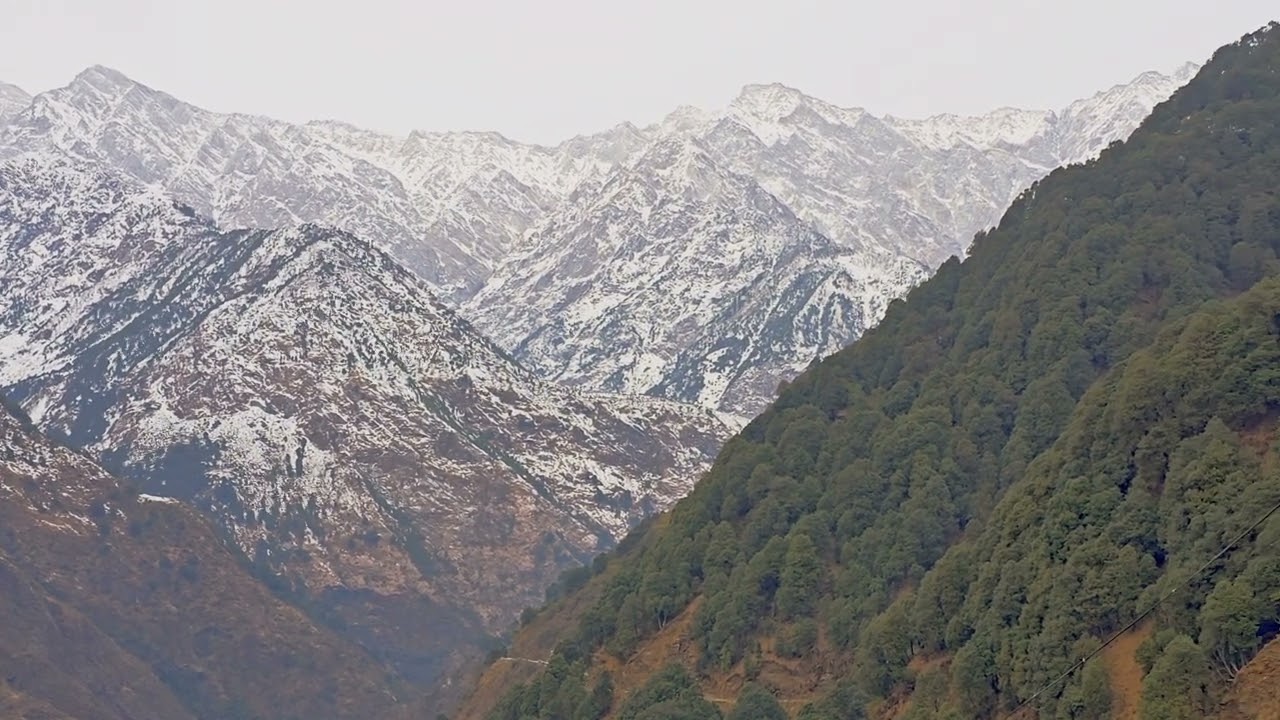 #dholadharmountains snow