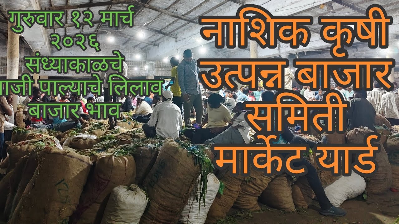 गुरुवार १२मार्च २०२६संध्याकाळचे भाजी पाल्याचे बाजार भाव नाशिक मार्केट| Vegetables market nashik