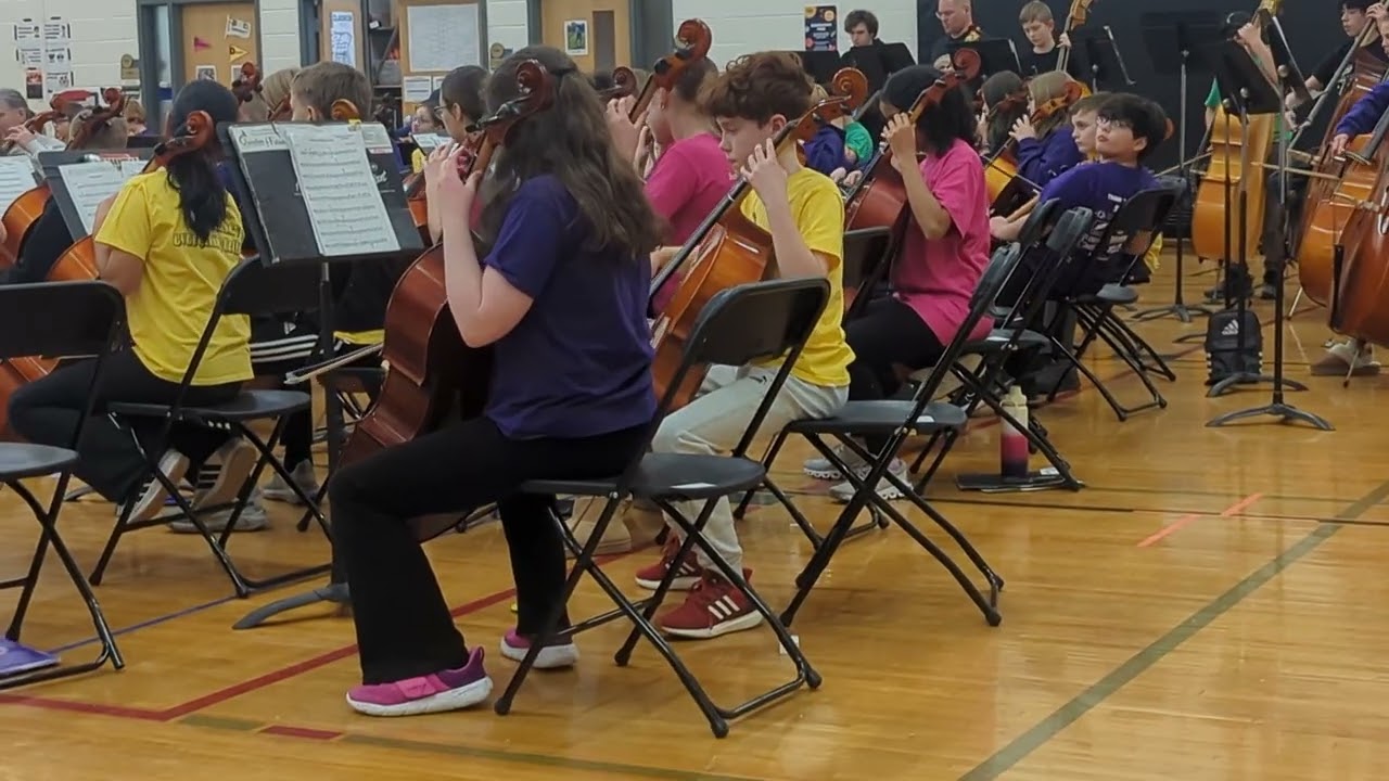 Fiddle Fest Song 5