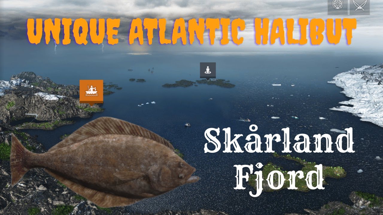 Unique Atlantic Halibut | Sk&aring;rland Fjord | Fishing Planet