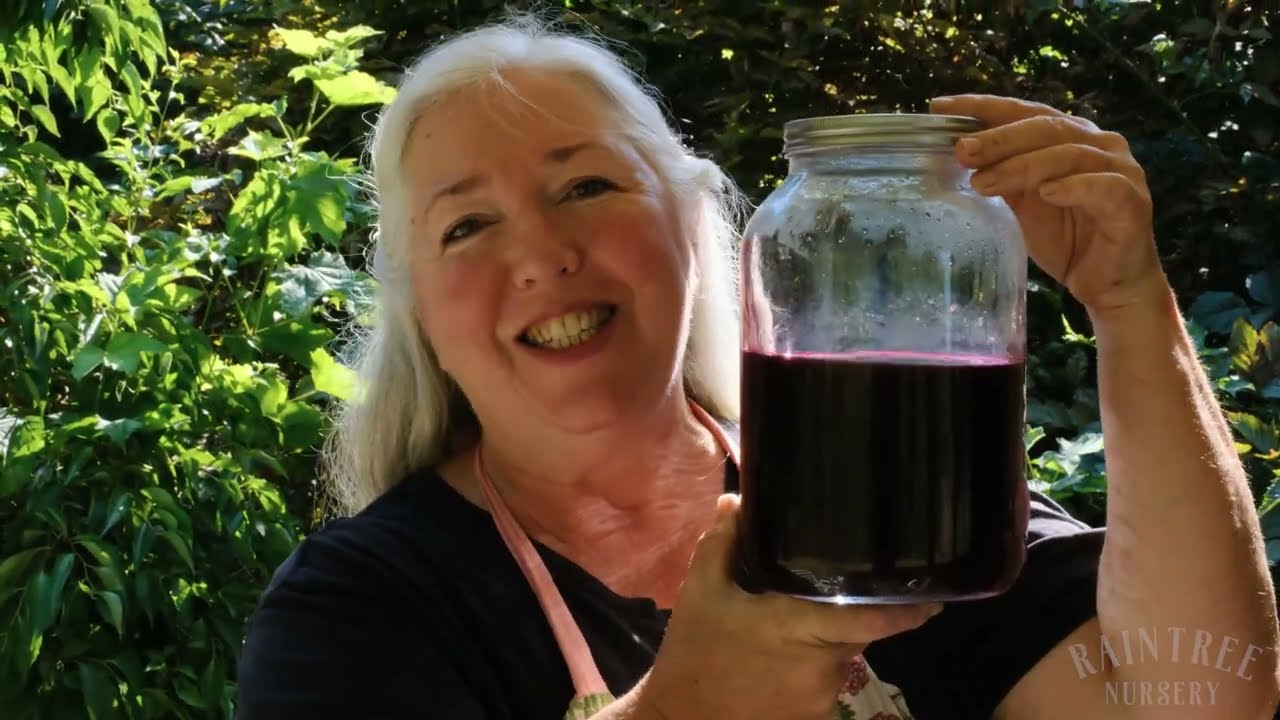 Juice Your Blackberries the Easy Way!