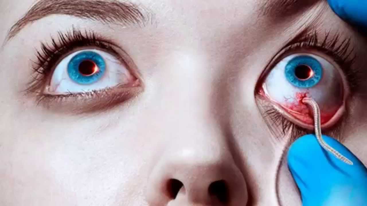 The Strain - 1x01 Music - Sweet Caroline (Good Times Never Seemed So Good) by Neil Diamond