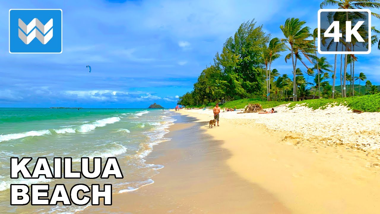 [4K] Kailua Beach in Oahu Hawaii USA - Walking Tour & Travel Guide 🎧 Relaxing Beach Waves Sound