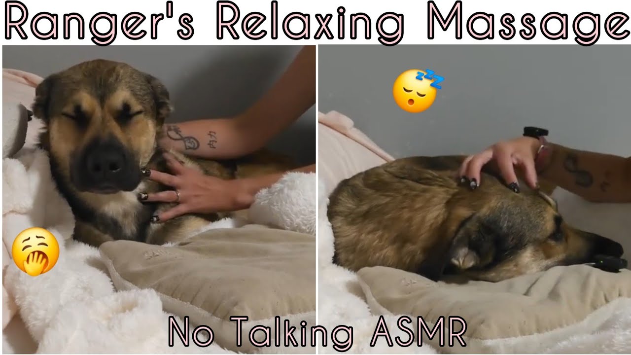 #ASMR | Ranger's Relaxing Massage | Slow Scratchy Sounds | NO TALKING