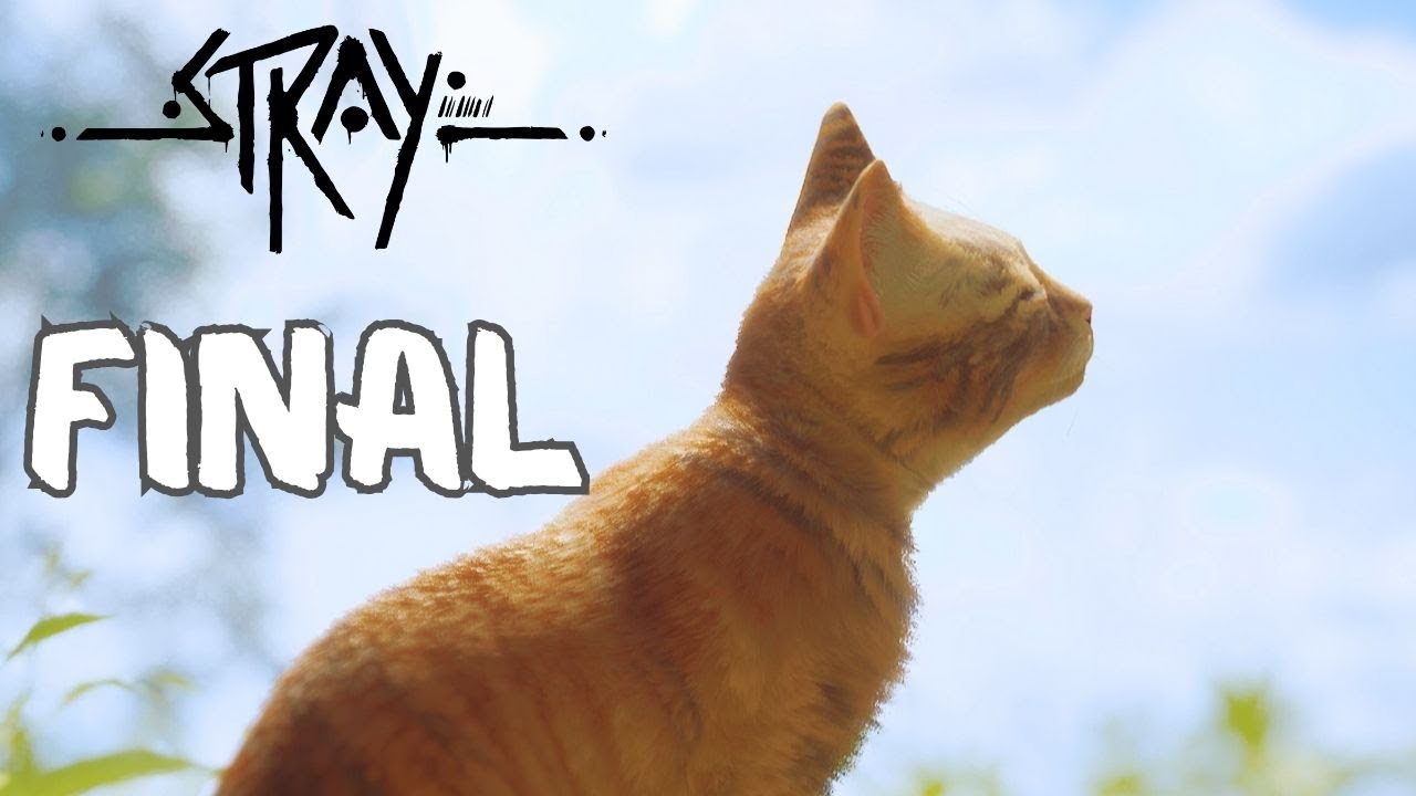 Stray Final