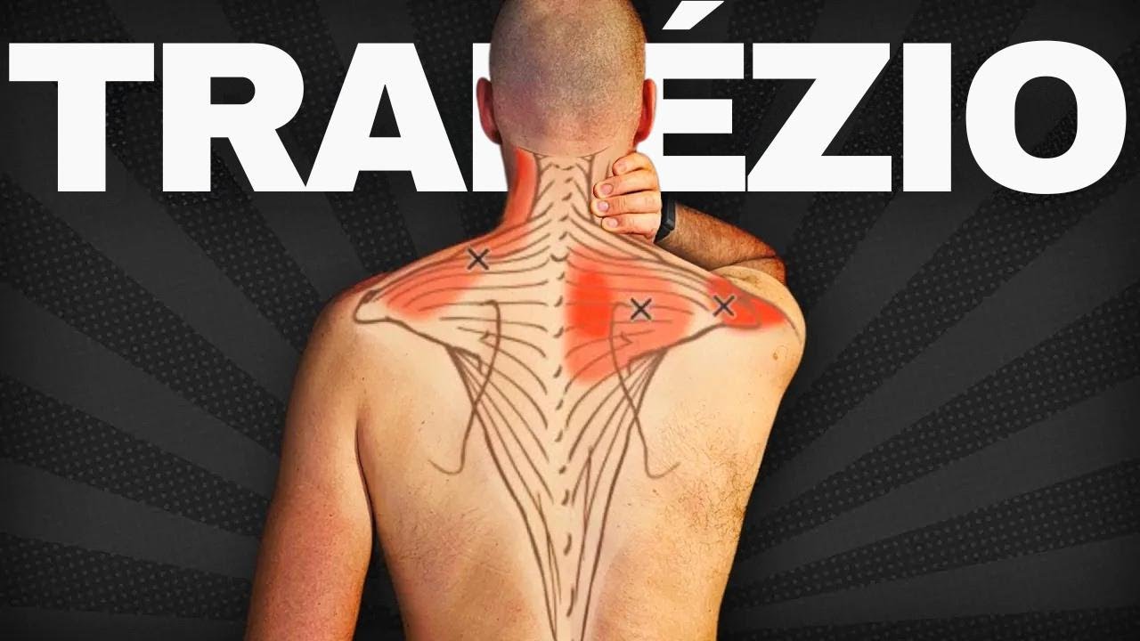 Acabe com a dor no trapézio e pescoço com esses 3 exercícios que quase ninguém faz