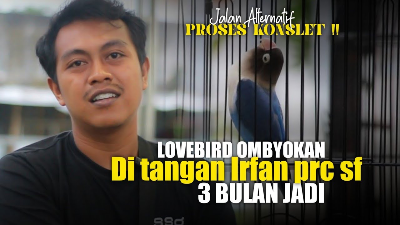 ALTERNATIF PROSES KONSLET - DARI OMBYOKAN KE GACOR - Irfan prc sf Banjarnegara