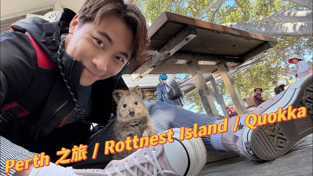 黃劍文 / 澳洲 🦘 / Perth 之旅 ￼/ Rottnest Island / Quokka /2024