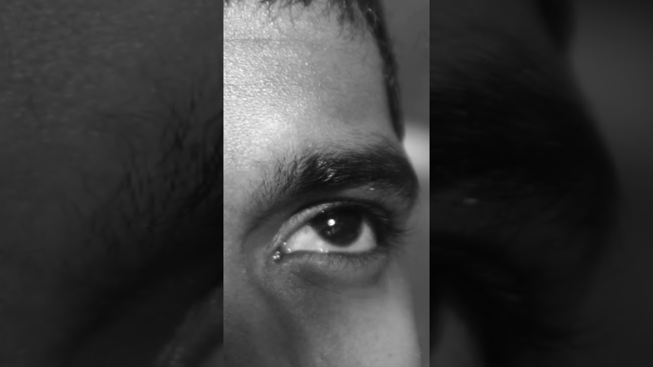 verukal trailar