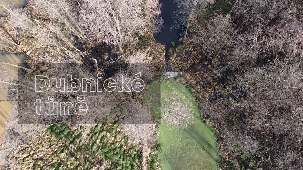 Dubnické tůně