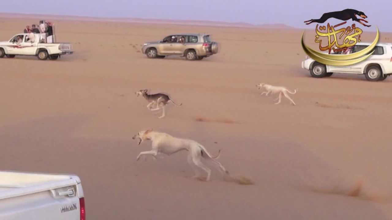 فوز الذيح اسكندر