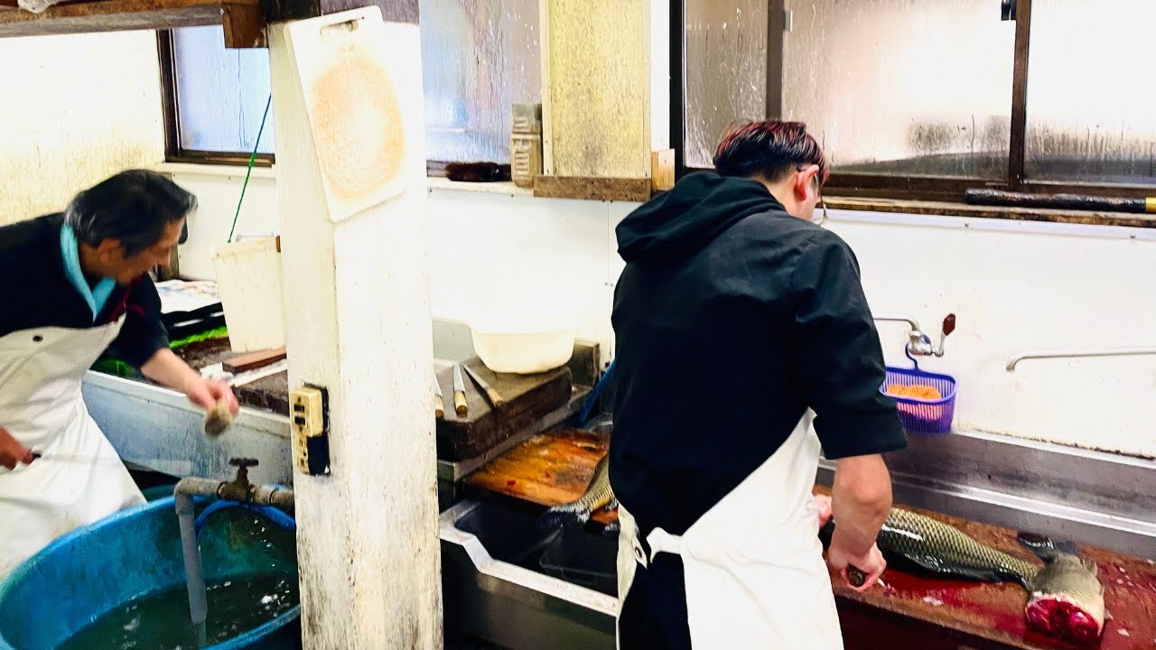 職人歴15年でまだまだヒヨッ子。超難しい鯉を華麗に捌く。鯉しげ（佐賀)[Shock] Infiltrate a carp restaurant