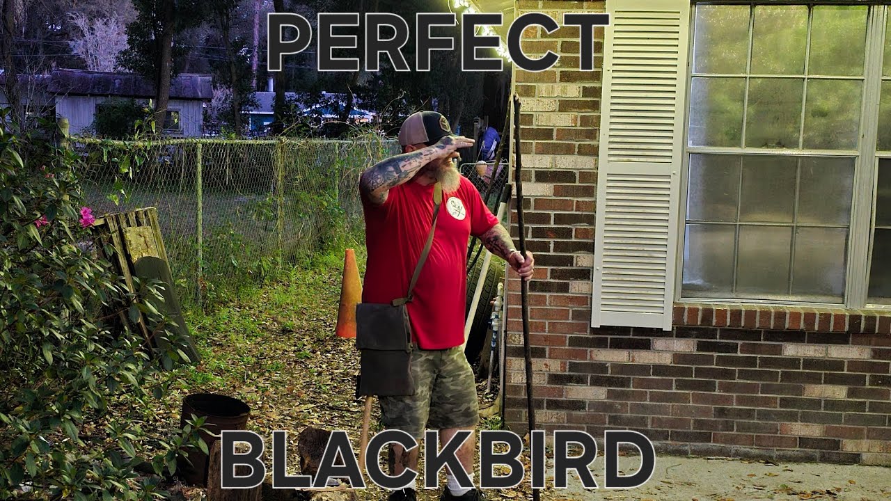 BLACKIE THOMAS'S HAVERSACK... FIRST IMPRESSIONS @BLACKIETHOMAS 