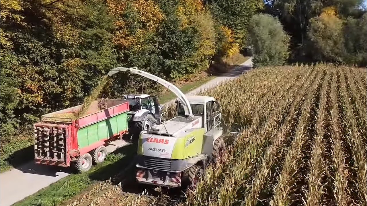 🌽🇵🇱Kukurydza na Kiszonkę 🇵🇱🌽 🔥Goj Agro& GrJędruch 😱 🔥Valtra zamyka licznik 🔥🌽Nowe Nabytki w akcji 😱🔥