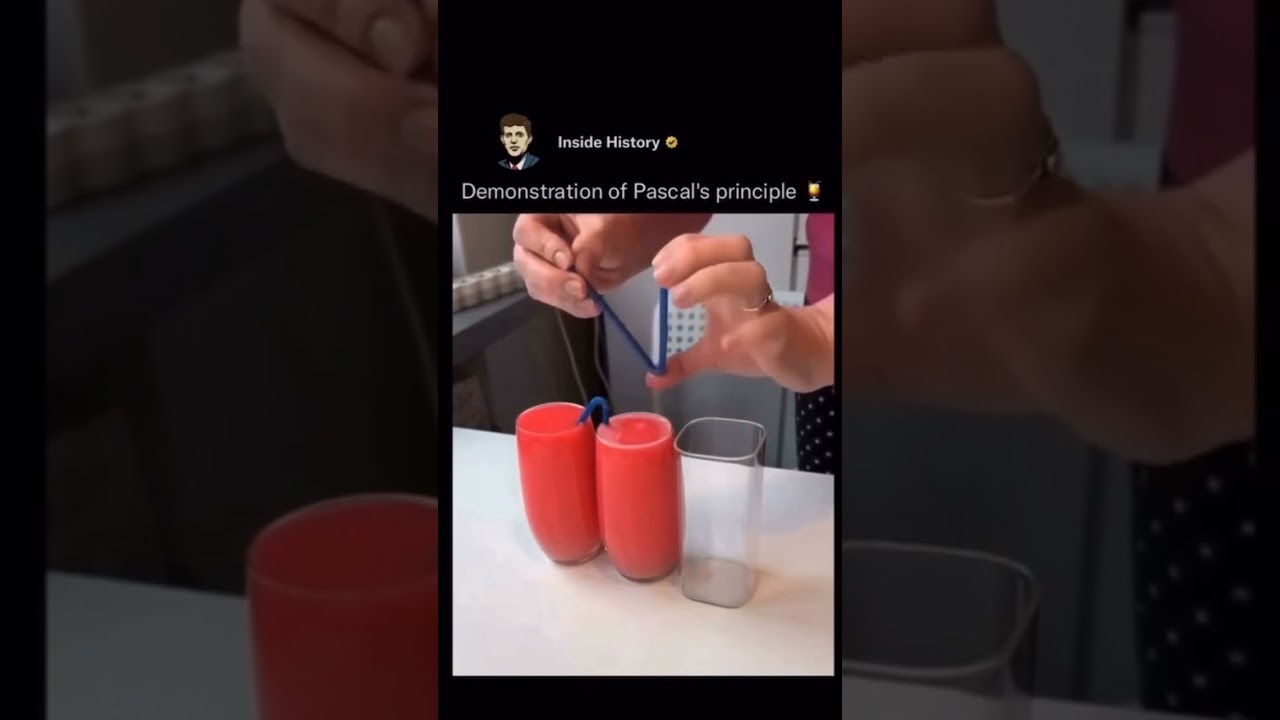 WARNING THE FOLLOWING VIDEO CONTAINS lorem ipsum dolor