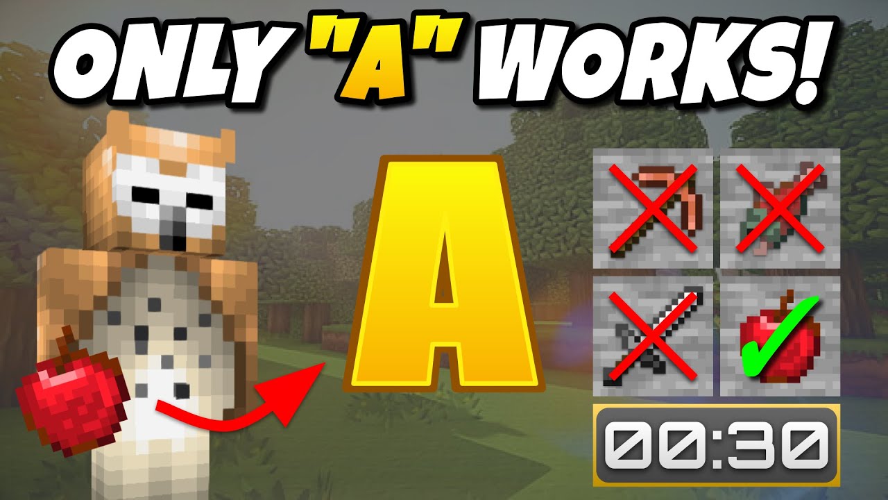 Minecraft But The Alphabet Controls What I Can Use