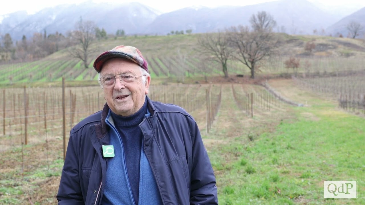 Alla scoperta dei vitigni storici del Trevigiano con l'esperto Angelo Costacurta