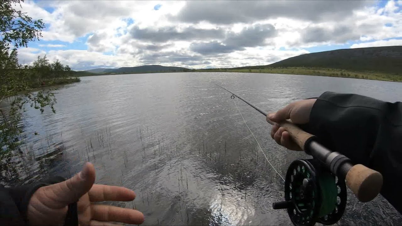 Loop Q fly rod