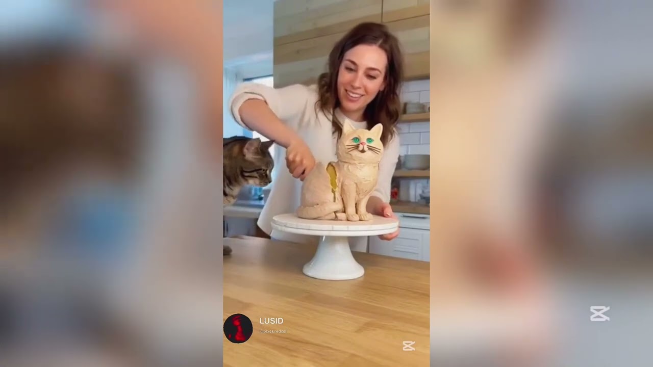 Cutting Cat Cakes In Front Of Cats 😂 | pet life 