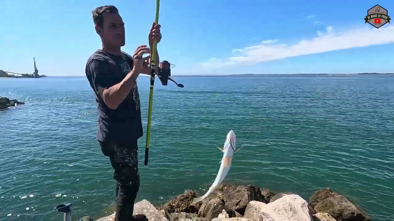 Pesca as Corvinas no Rio Sado SETÚBAL