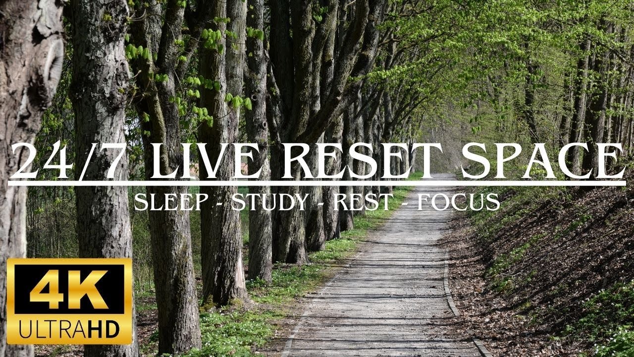 24/7 Calm Background Sounds For Sleep, Study & Relaxation | Deep Rest & Focus | Calm With Jade
