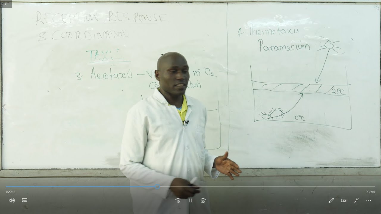 Form 4 - BIOLOGY - Topic:  Reception, Responce & Coordination