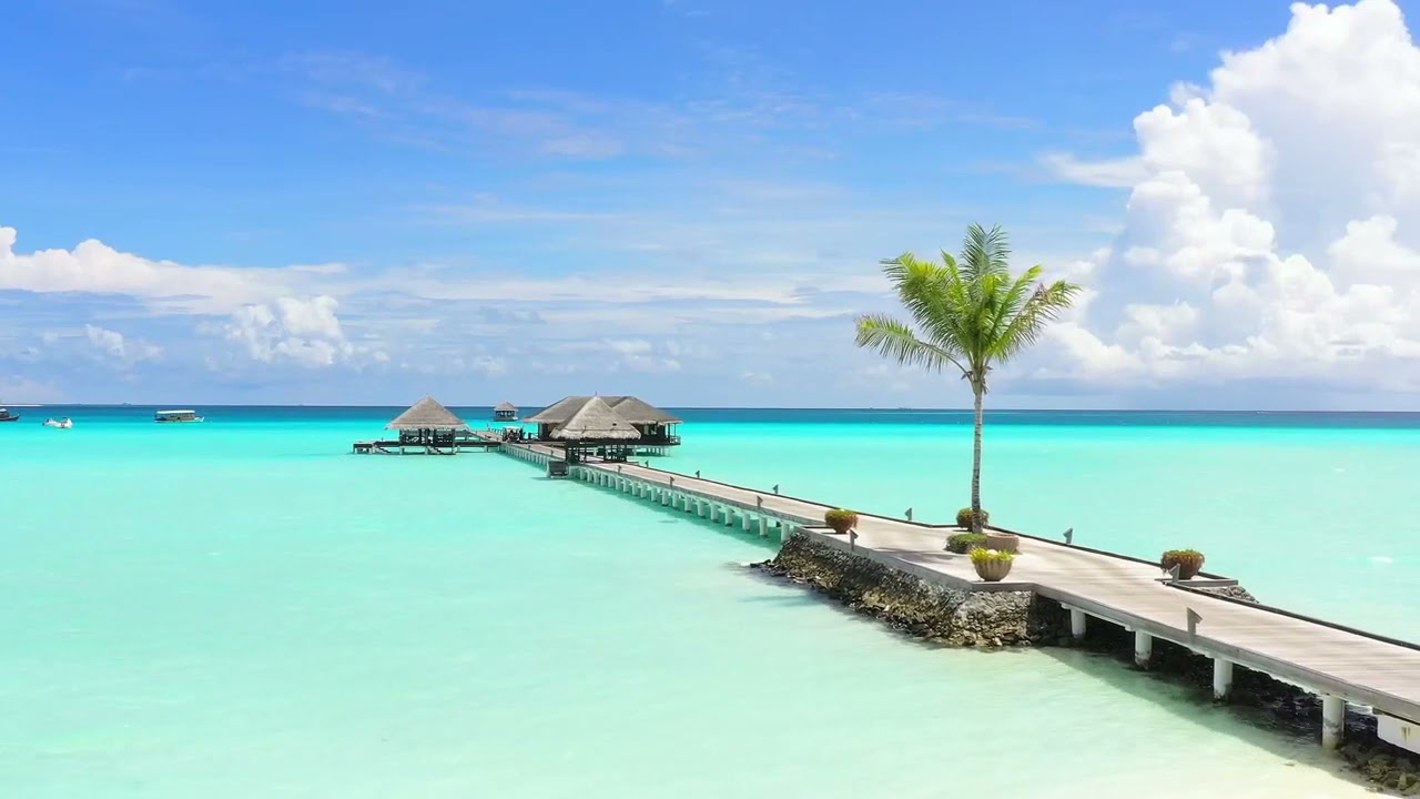 Beach Stock Footage  - NO Copyright - Free Stock Footage