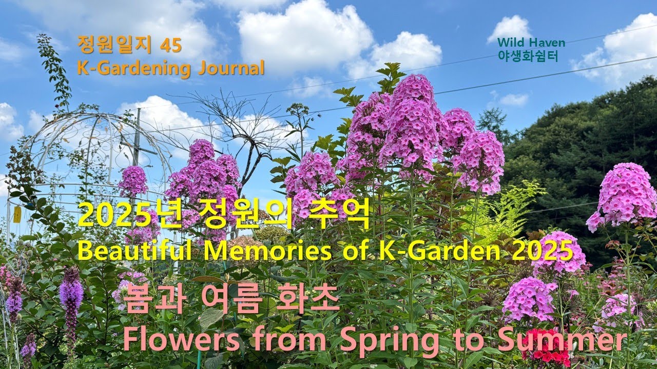 봄과 여름 꽃 정원의 2025년 추억/야생화 쉼터/Beautiful Memories of K-Garden from Spring to Summer/Wild Haven