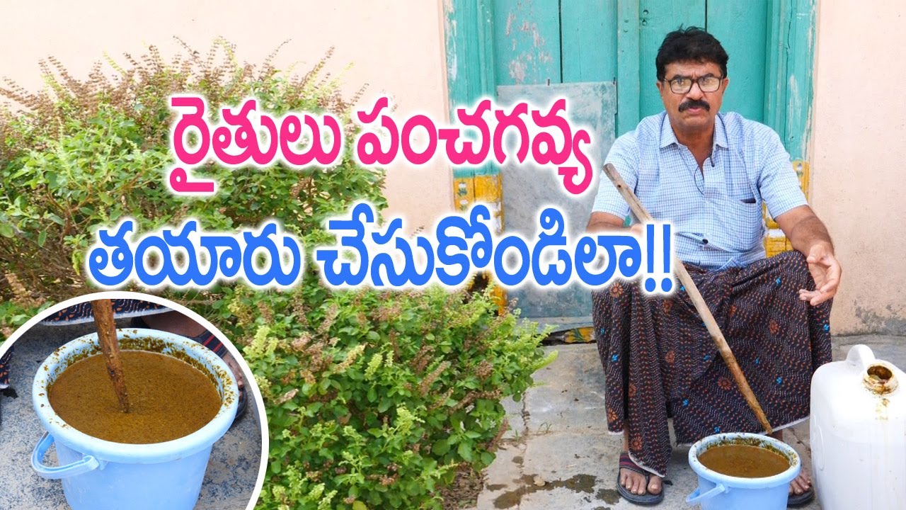 PanchaGavya Preparation || Farmer Koti Reddy - 9849987368 || Rythunestham