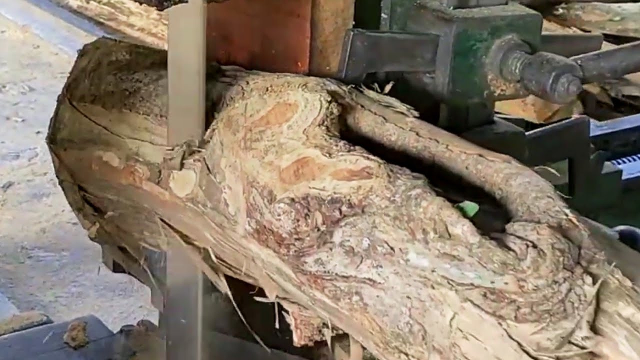 THE MYSTERY OF HOLE WOOD, the beautiful and useful process of cutting firewood 