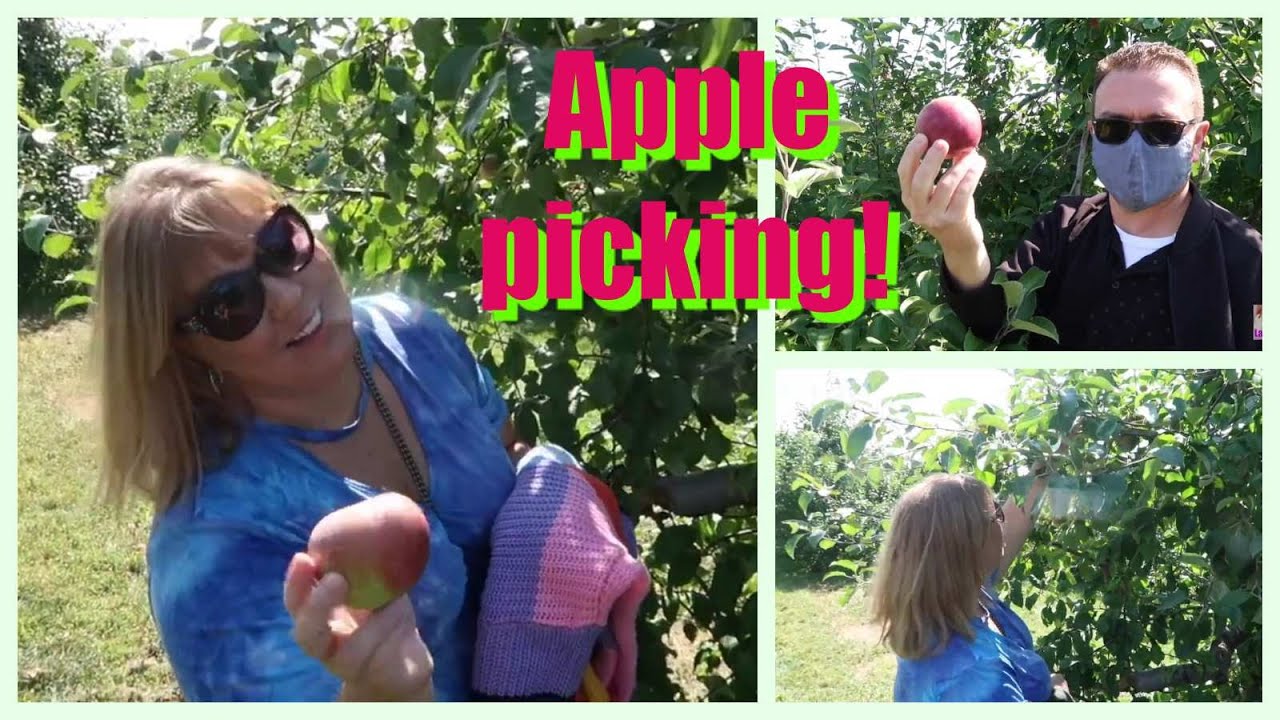 Battleview Orhards Apple picking - Freehold, NJ| Laliland