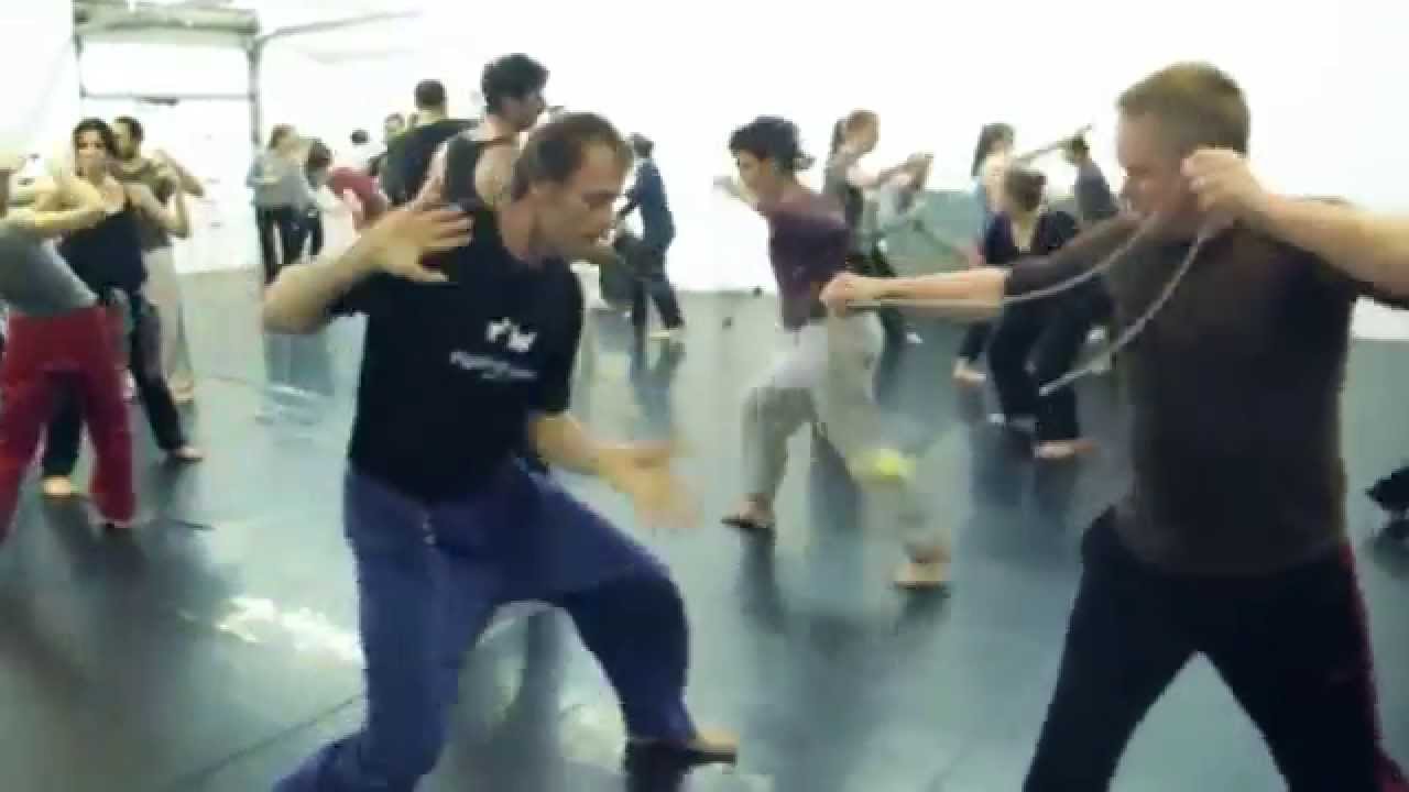 Fighting Monkey - 
