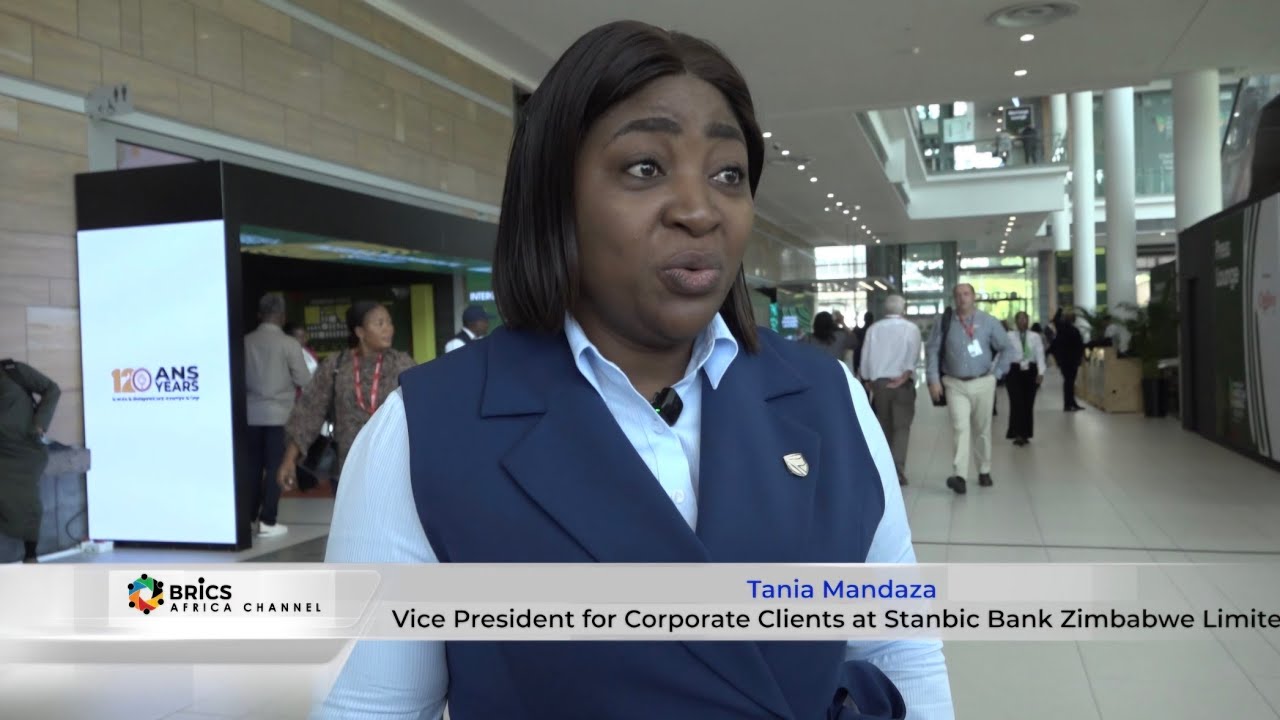 Africa’s Mining Value Chain: From Extraction to Industrialisation 