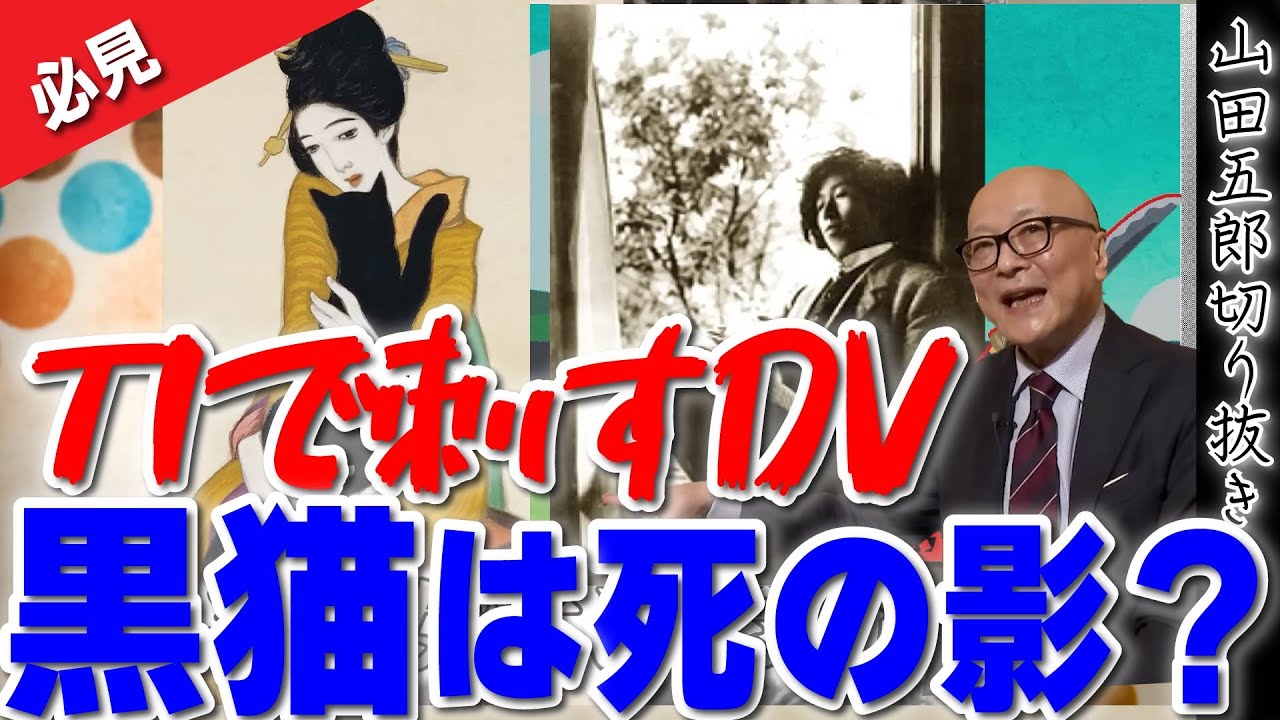 【必見！】刀で刺すDVって一体...？黒猫は死の影！？