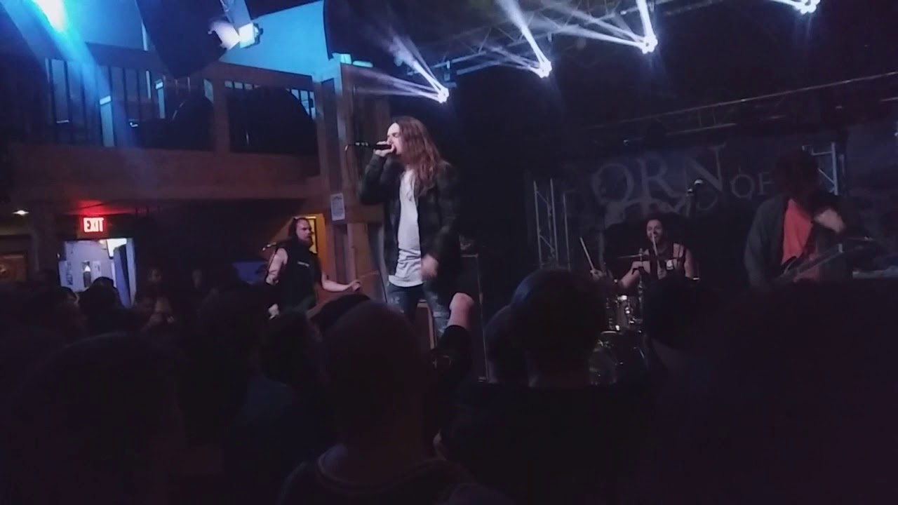 Fit for a king new song