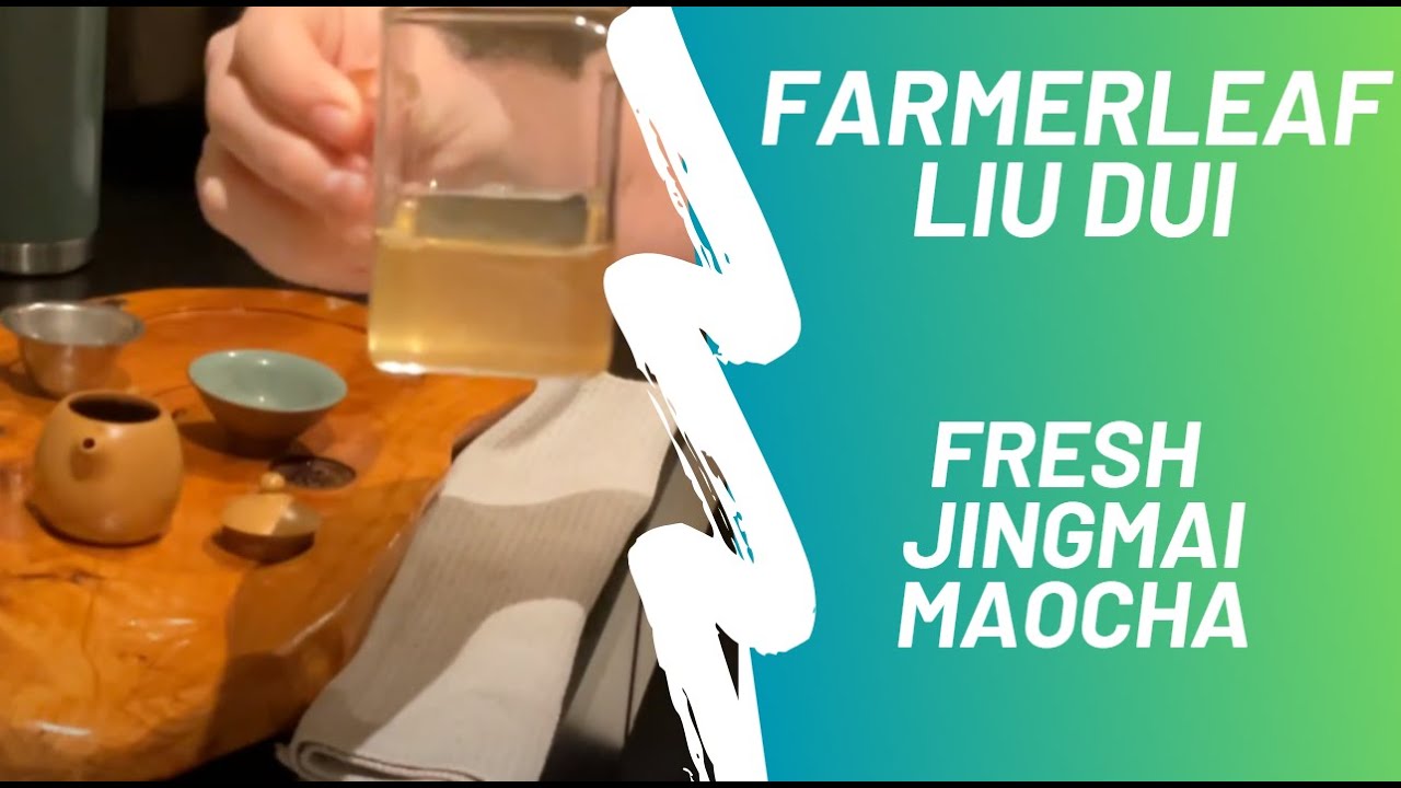FarmerLeaf - Jingmai raw puerh | Tea review #7