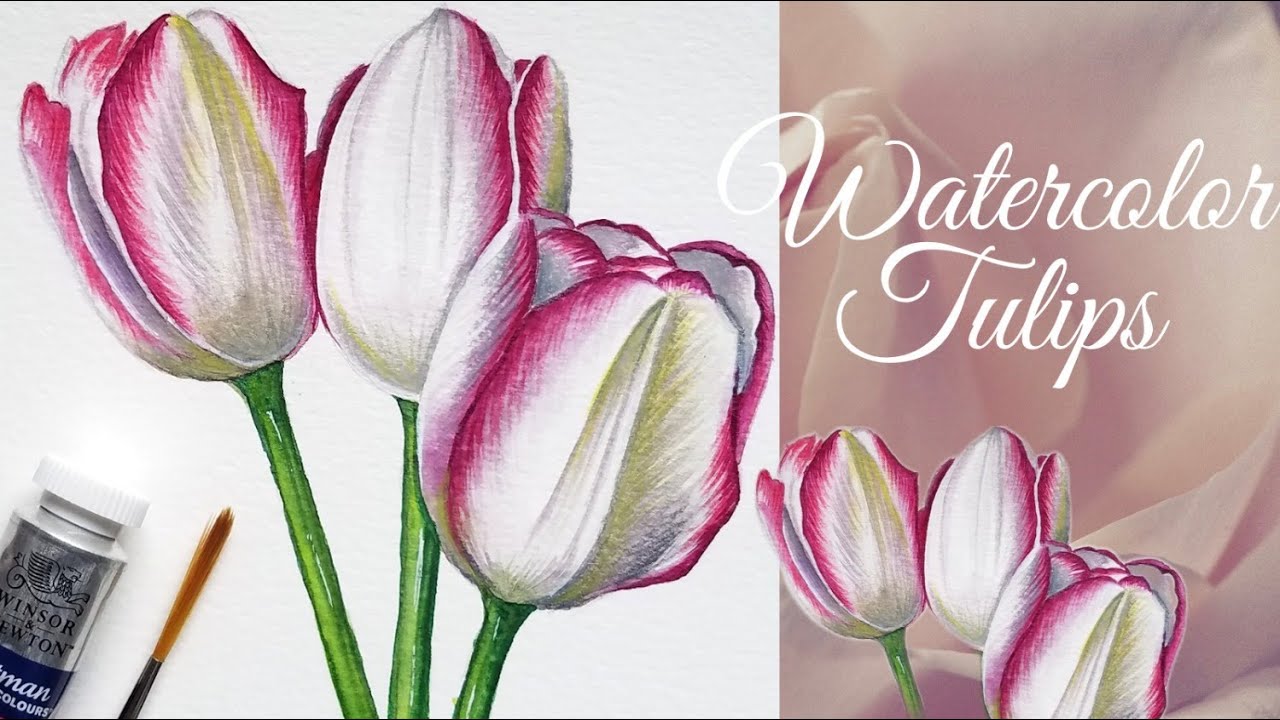 How to Paint Tulips / White Tulip Painting/ Watercolor Painting Tutorial #LipsitaArt