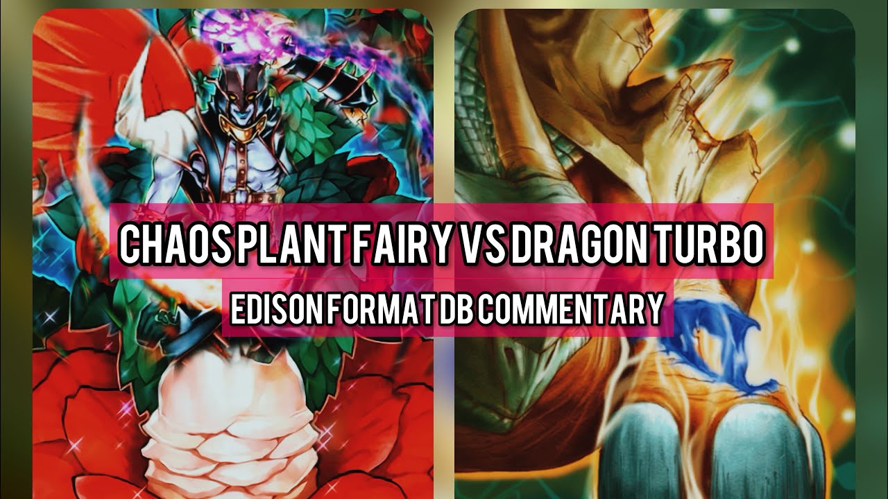 Chaos Plant Fairy vs Dragon Turbo | Edison Format DB Commentary