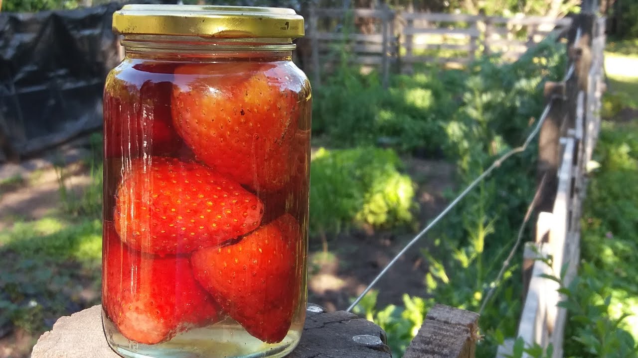 Frutillas en Almíbar! Strawberries in Syrup/Fragole Sciroppate/Fraises au sirop/Erdbeeren Sirup/草莓糖浆