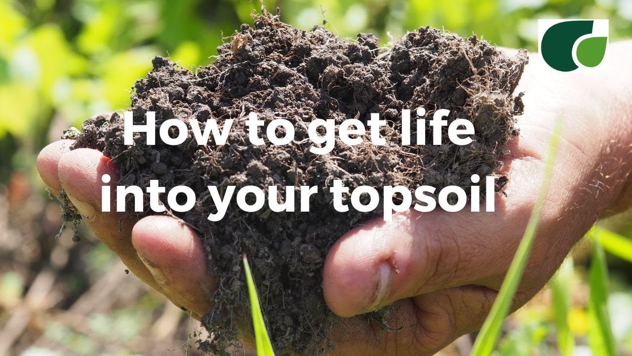 Soil Biology: How healthy is your topsoil?