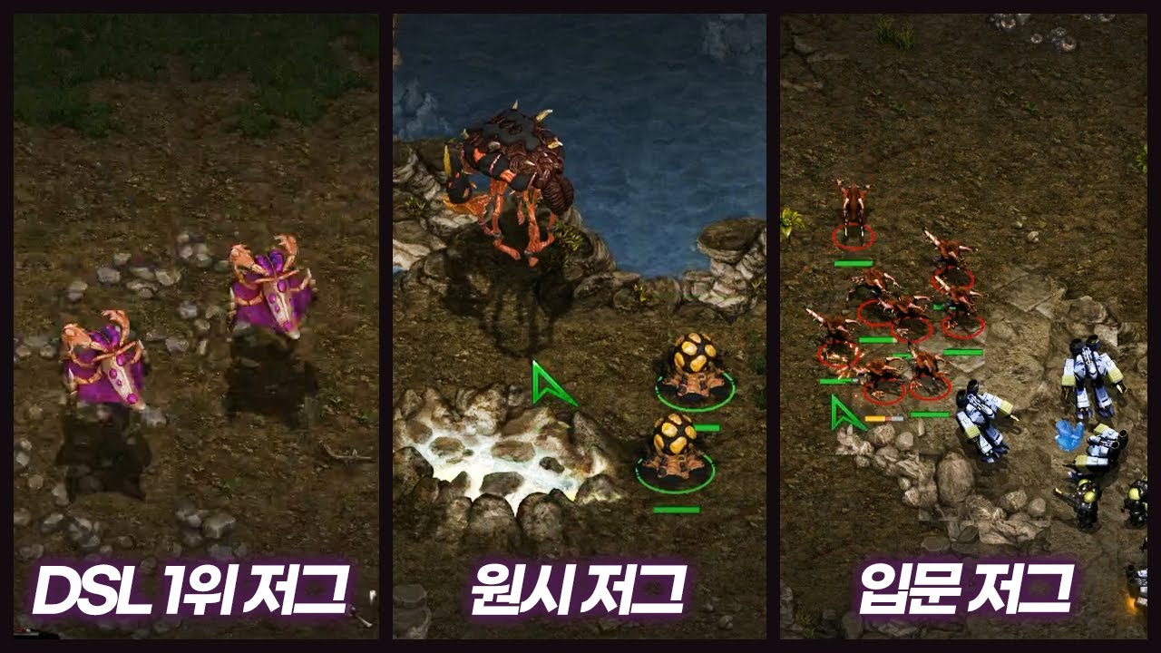 저그 3형제 [스타크래프트]