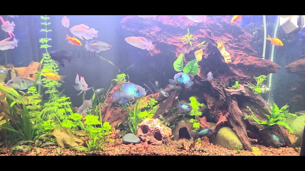 Krikmans Mini Lake with a ONF Flat One Light