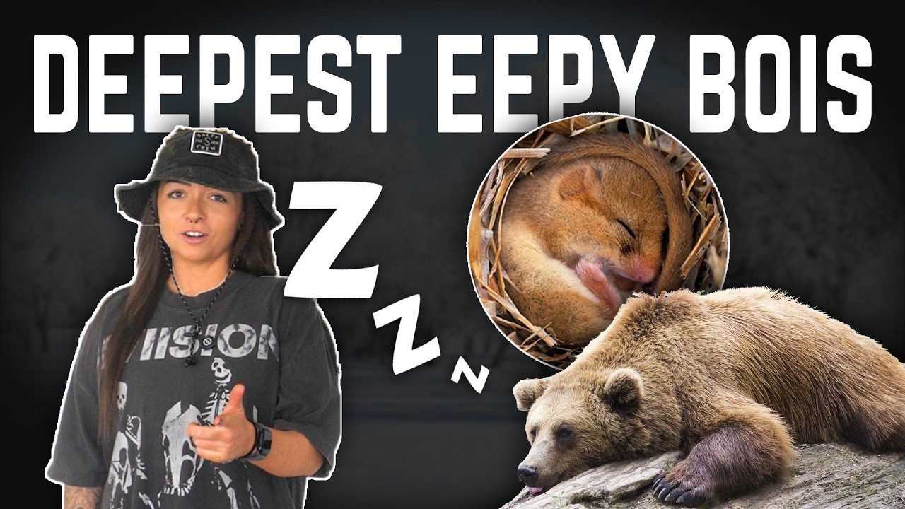 The Deepest Sleeps in Nature (That We Know Of) | Lindsay Nikole