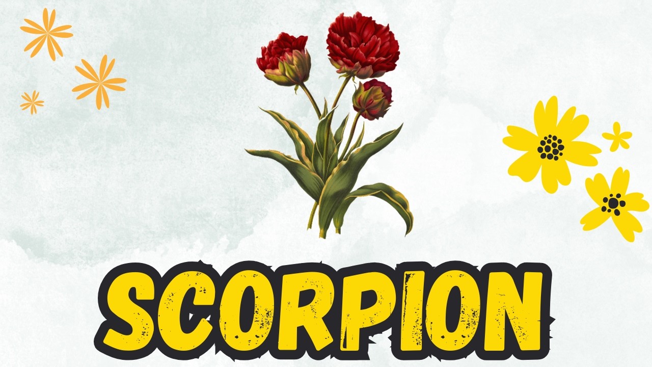 SCORPION💘 Solutions magiques pour les urgences 🧚🏻‍♀️🔮 Tirage de ce mois ci💜